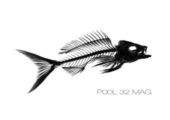 Pool 32