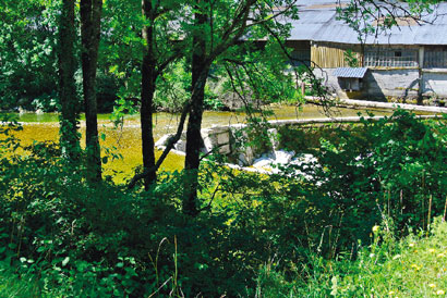 Le projet Rivières sauvages