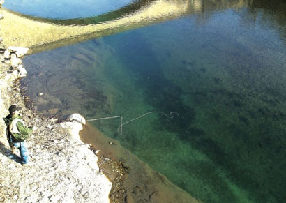 Chevesne for ever…