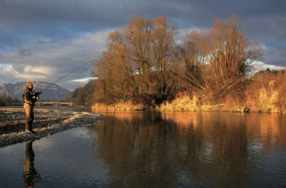 Séjours spécifiques « ombre  commun » sur le vieux Rhône
