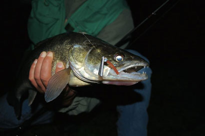 La pêche  au plomb palette