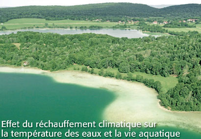 Effet du réchauffement climatique sur la température des eaux et la vie aquatique.