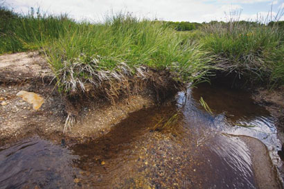 France : 90 % des nappes phréatiques en déficit