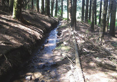 Têtes de bassin versant : l&rsquo;habit ne fait pas le moine…