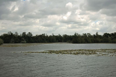 Les éléments essentiels de la chaîne trophique
