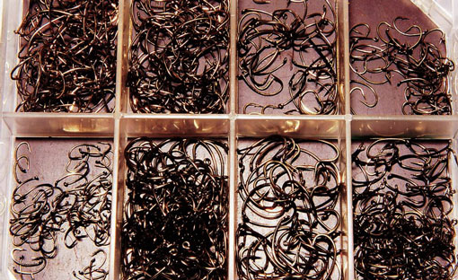 Bien choisir ses hameçons pour la pêche en réservoir