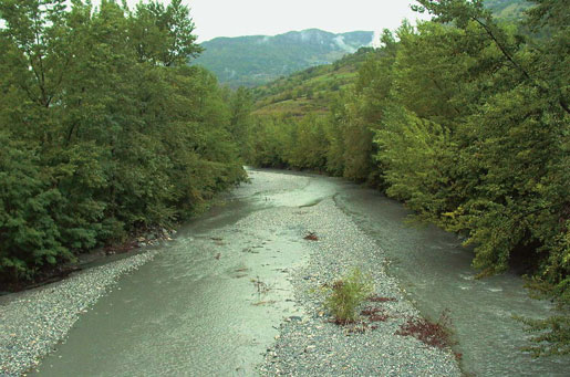 Les bassins Rhône-Méditerranée et Corse en mauvais état écologique