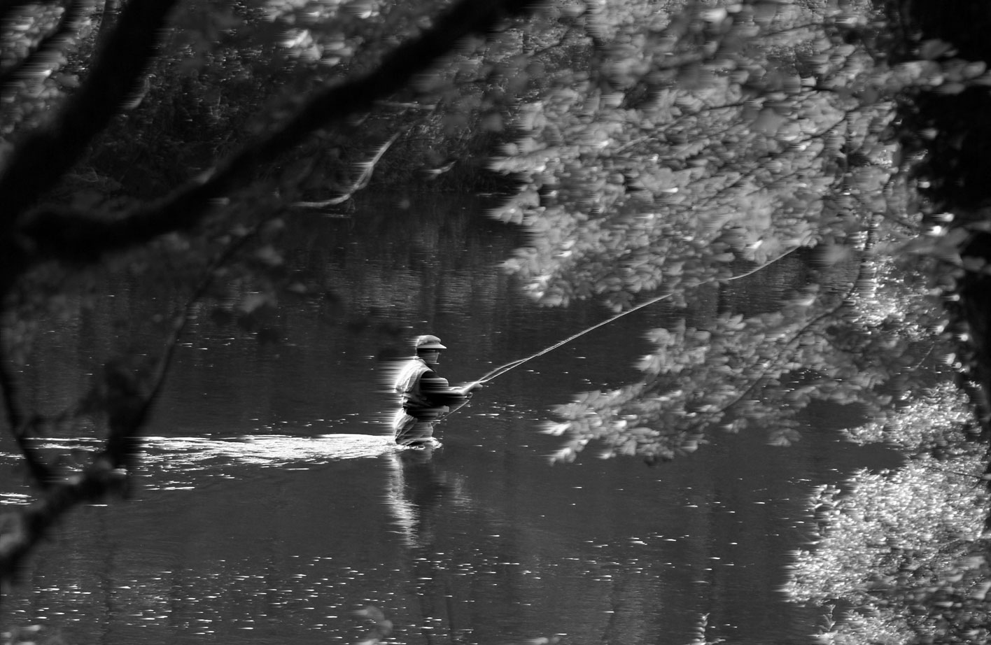 Les sept familles de la pêche – Les pressés