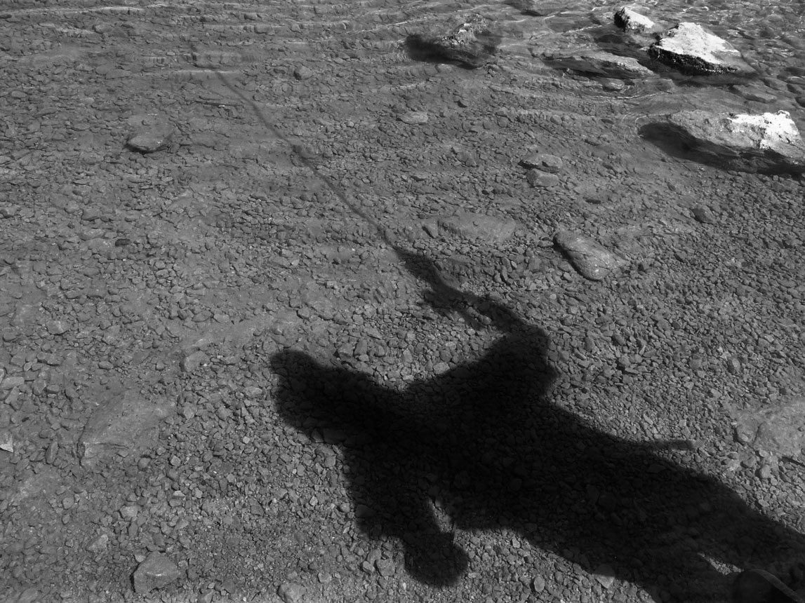 5 juin : 5e édition de la Journée de la pêche