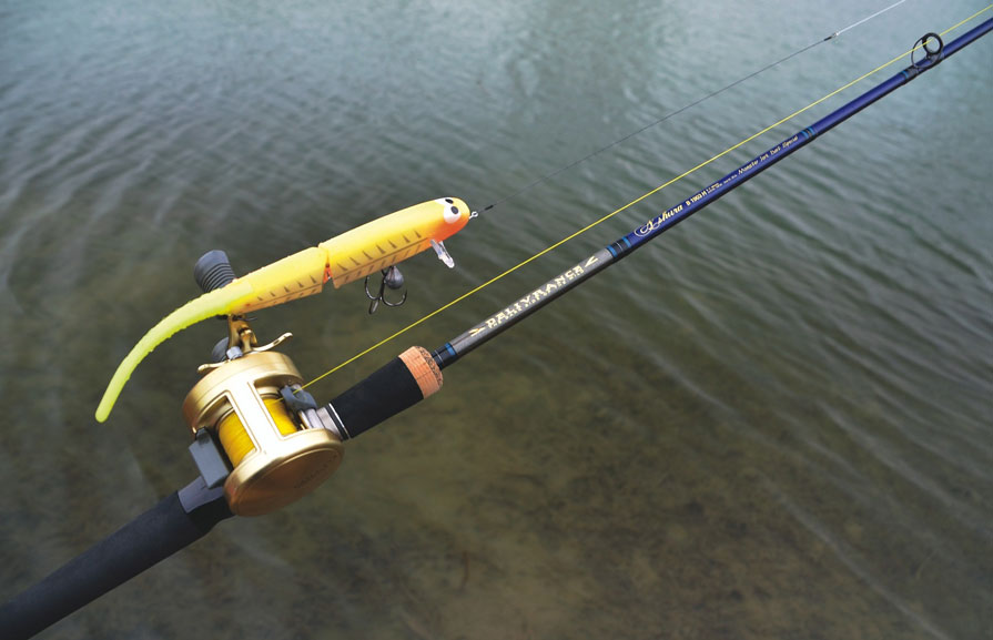 Nouveauté 2012 : Canne Ashura Delivrance Monster Jerk Special