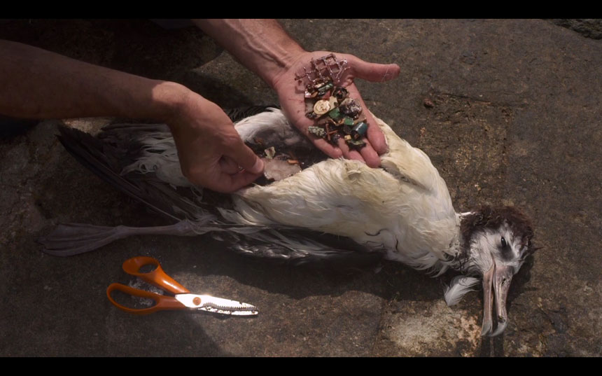 Midway, un paradis déjà perdu ?