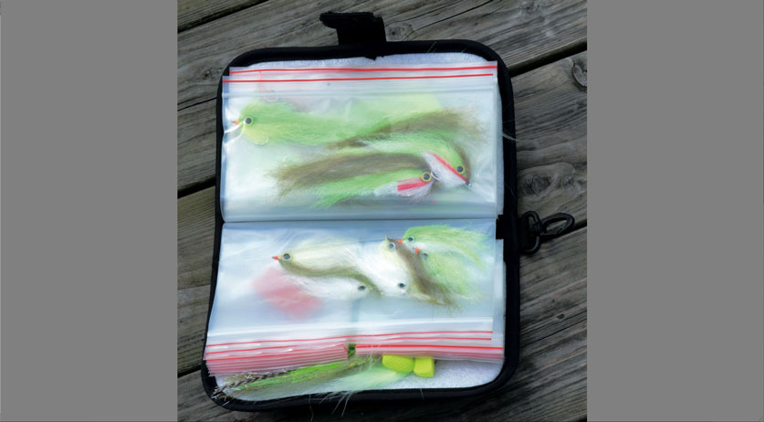 Pratique : la trousse Finsport