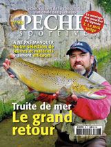 Pollution démocratique