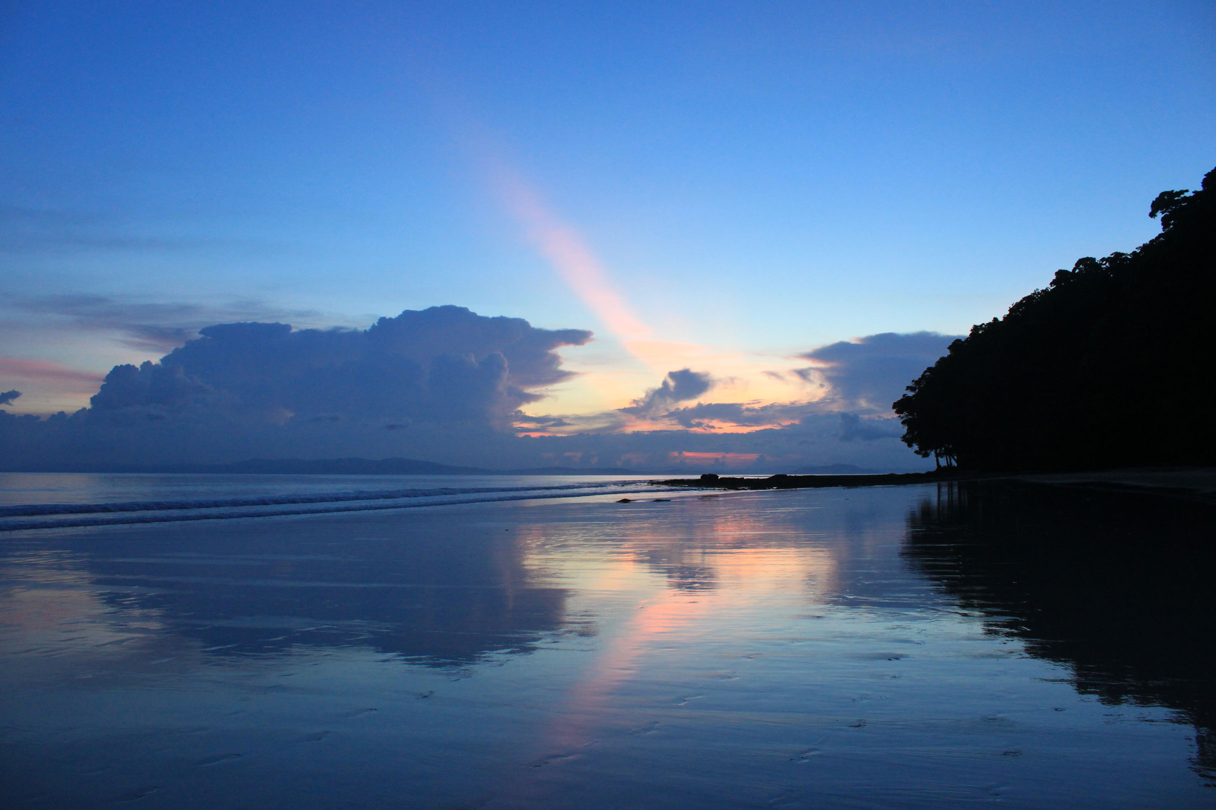 Les espèces océaniques en danger d’extinction