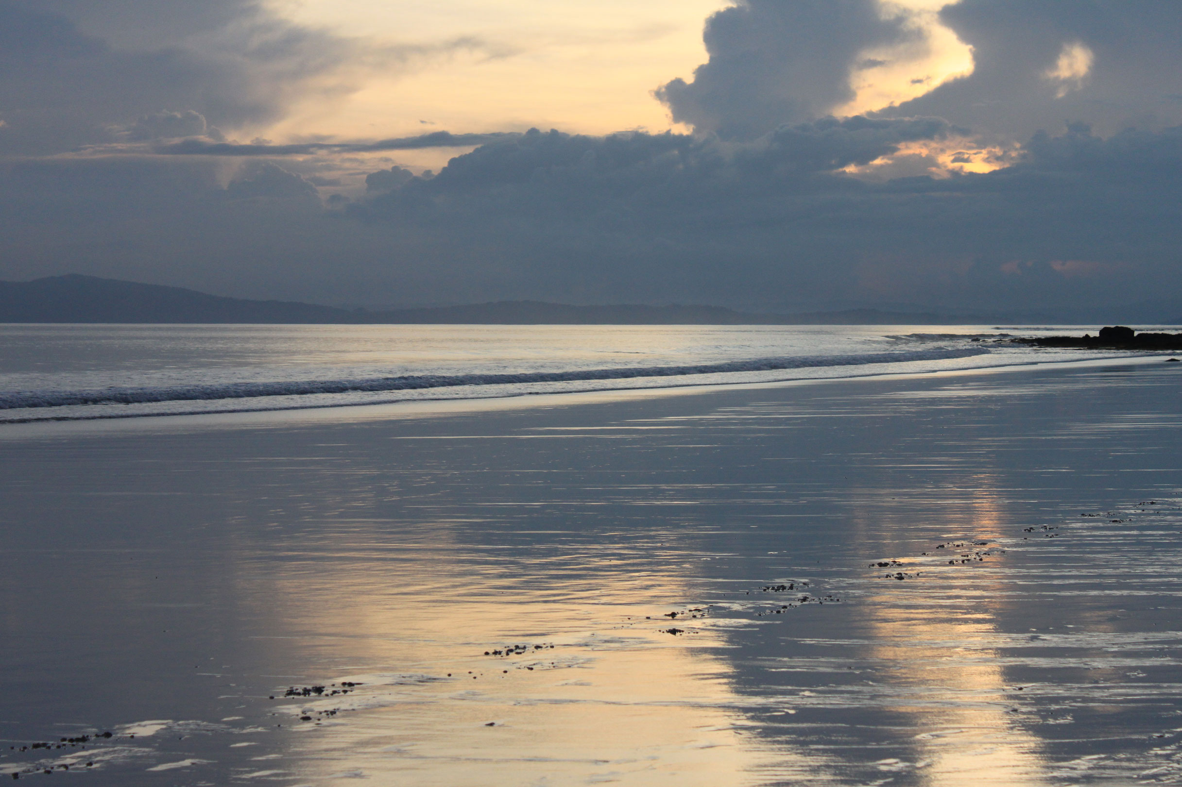 Le Centre Ifremer Méditerranée s’ouvre au public