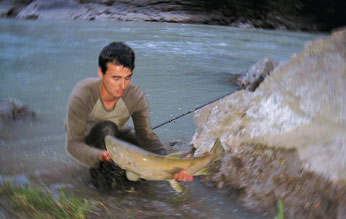 La truite métaphysique par Jean-Christian Michel