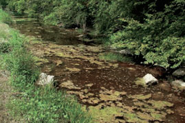 Le « paradoxe » de la Loue