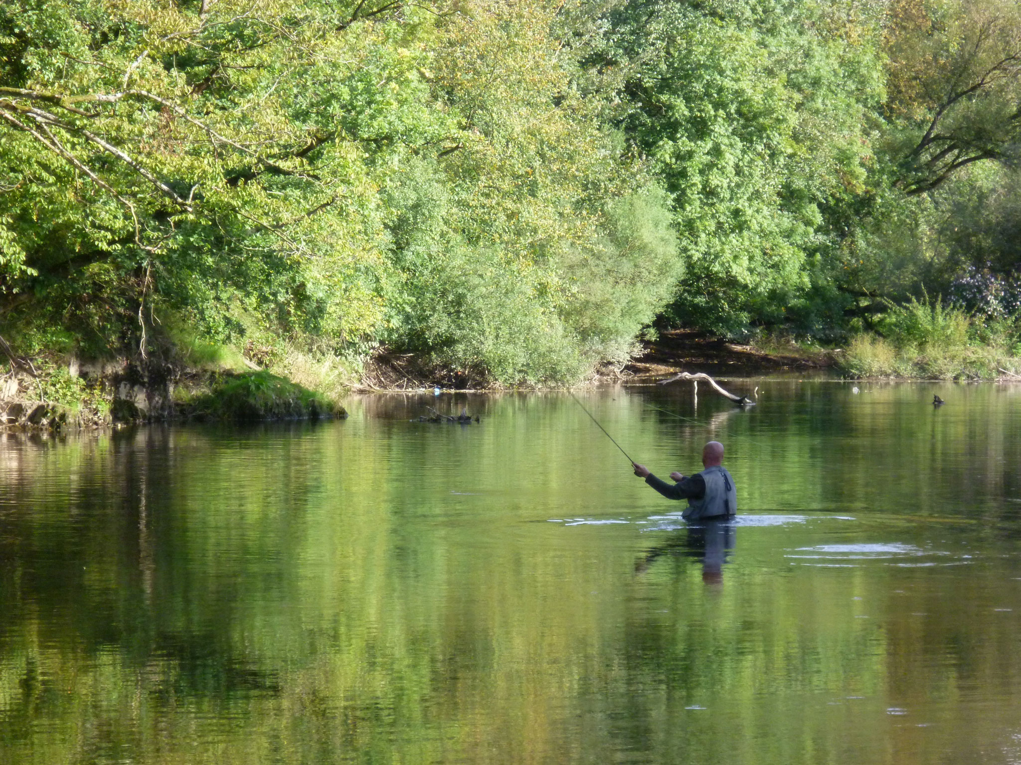 La Lomme et la Lesse au Pays du Val de Lesse