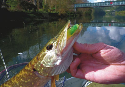 Le Doubs entre Montbéliard et Besançon