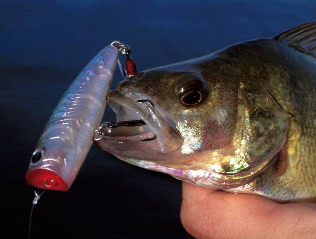 Orne : le lac de Rabodanges