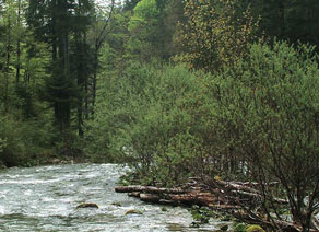 Le Tech au Prats-de-Mollo