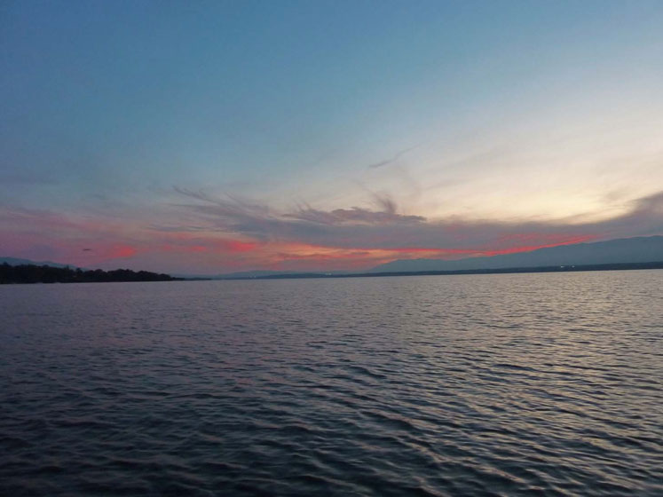Les brochets du lac Léman