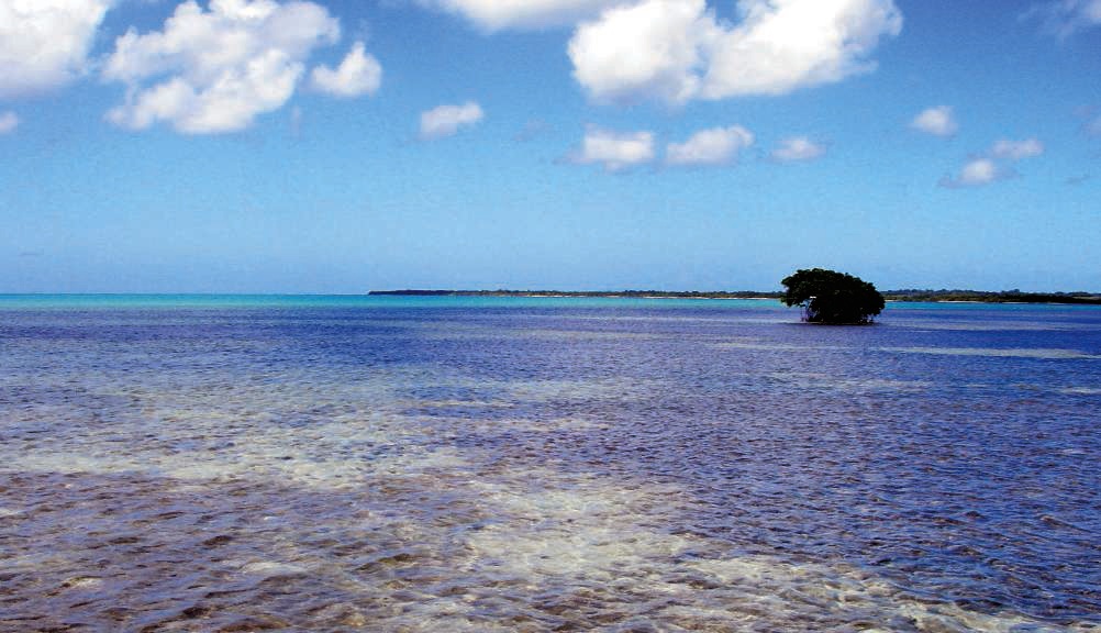 Les flats de Saint-François en Guadeloupe