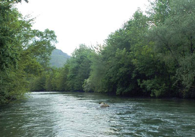 Les parcours mouche de la Moselotte