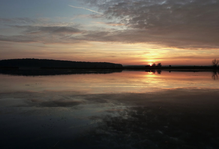 L’étang de Perroi