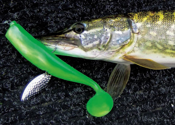 Leurres souples sauce bling-bling !