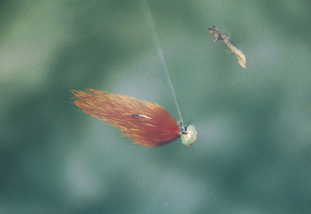 De la mouche au leurre, quelques trucs en poils