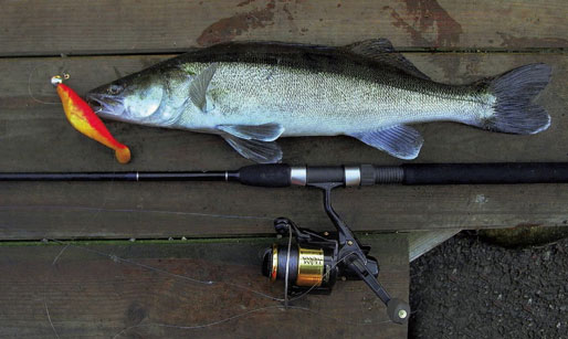 La fantastique aventure de la pêche aux leurres