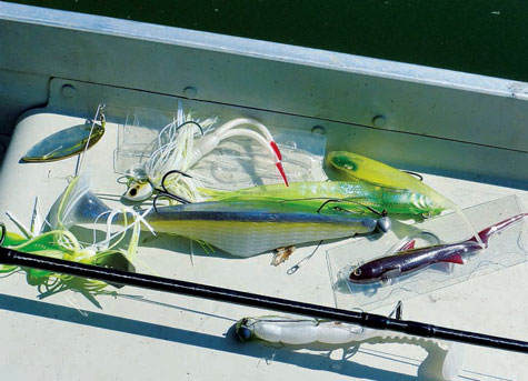 Leurres souples, si on vérifiait leur densité ?