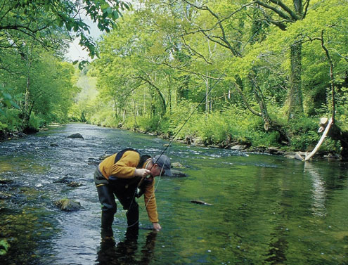 L’Odet dans les gorges du Stangala