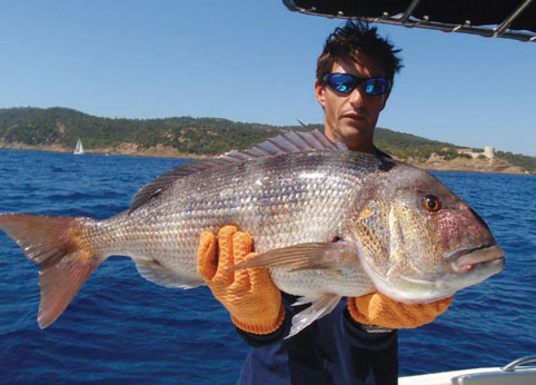 Pêcher toute l’année en Méditerranée