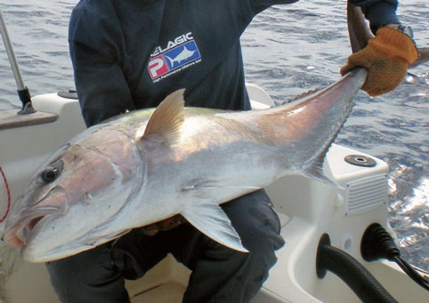 Le calendrier méditerranéen