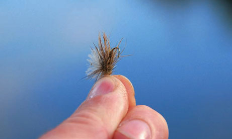 Réservoir : et si on pêchait au “bouchon” ?