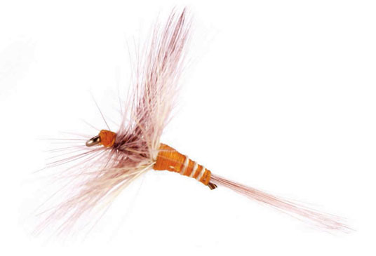 Nouvelle : « L&rsquo;heure de leurrer sans ferrer » par David Sayagh