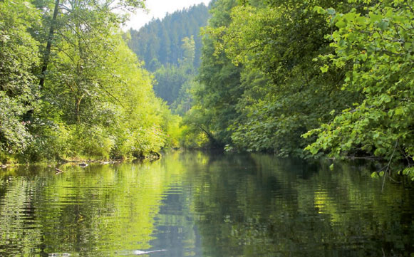 La Murg, toujours la Murg