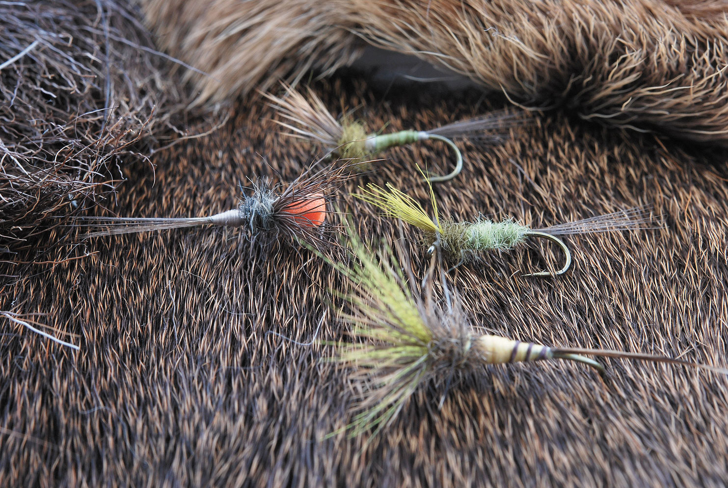 Des stages mouche en Bourgogne