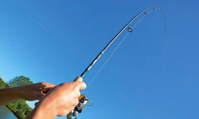 Canne G.Loomis NRX drop-shot