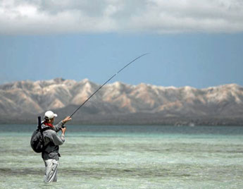 Les bonefishs d’outre-France