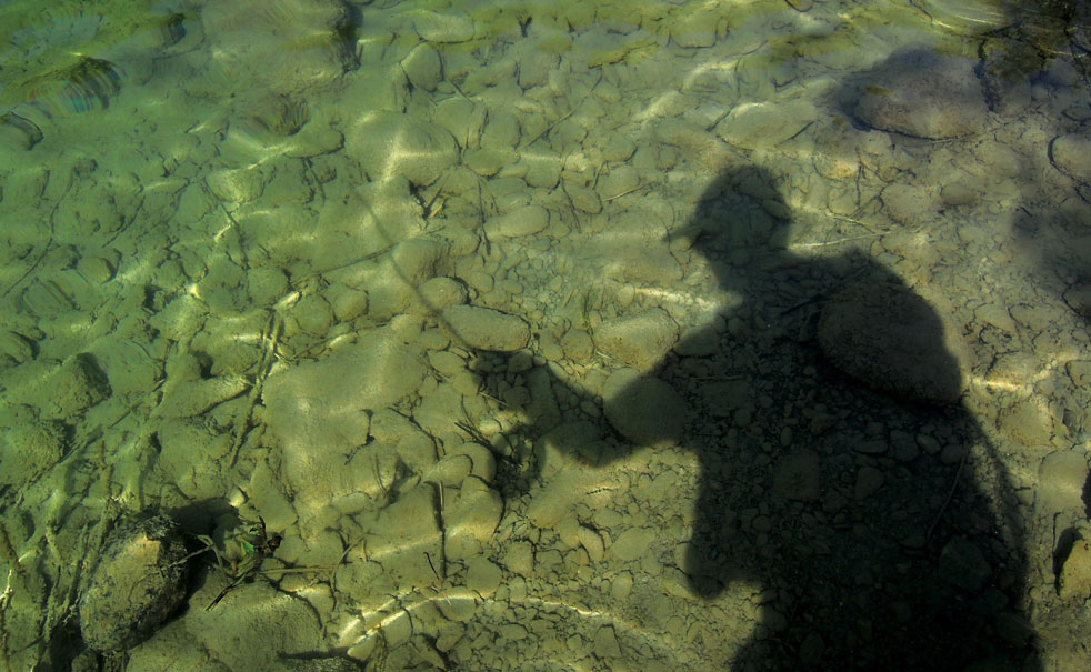 Nymphe : la pêche à vue au soleil…