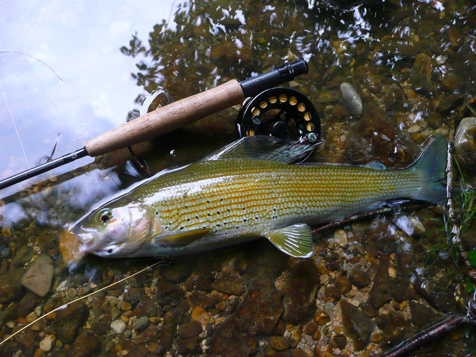 Concours de pêche à la truite d’Oulins