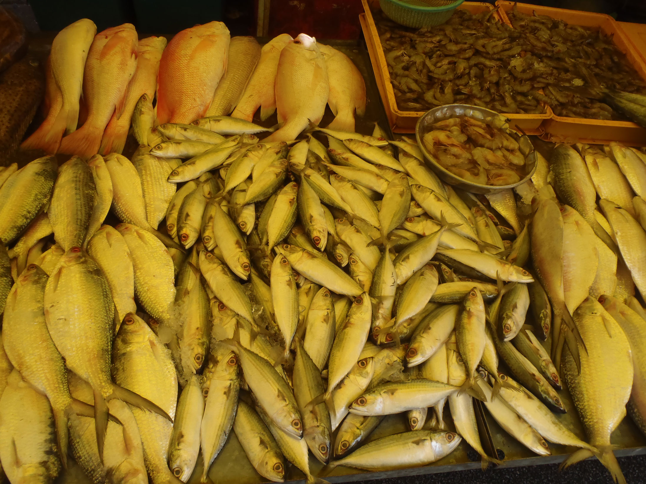 Production de produits de la mer : record battu en 2011