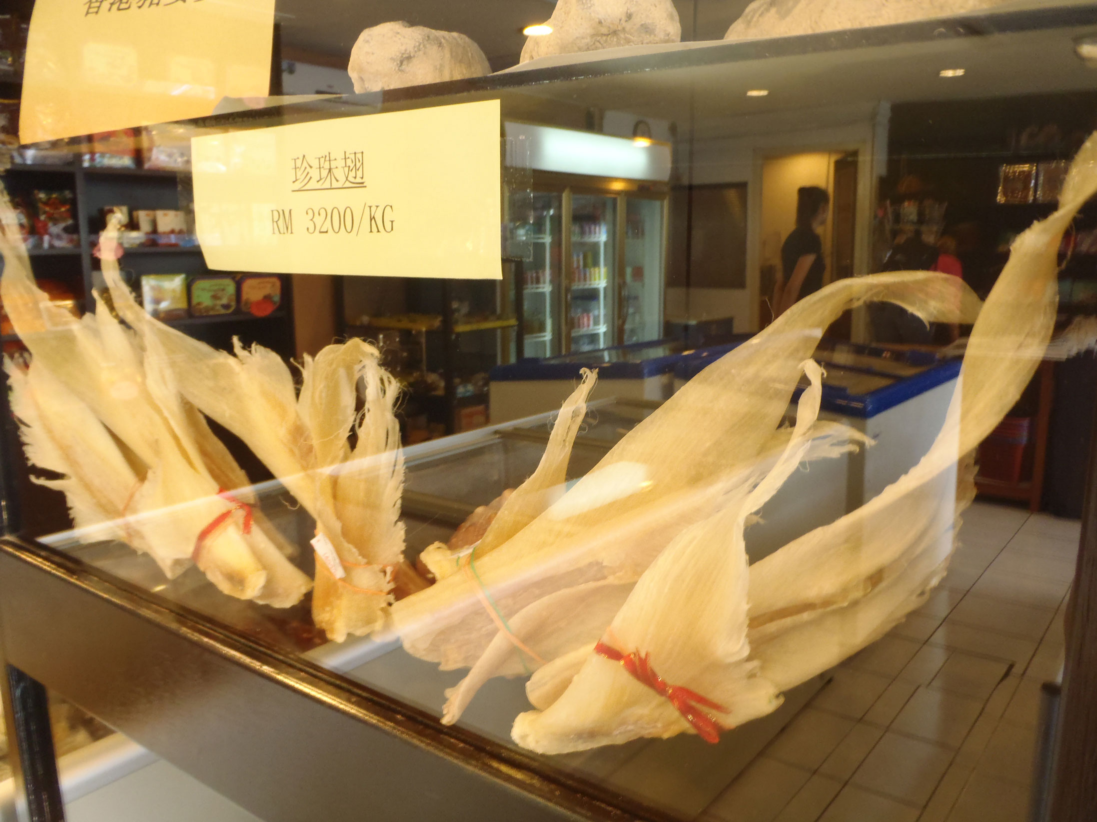 Le fondateur de Sea Shepherd arrêté en Allemagne