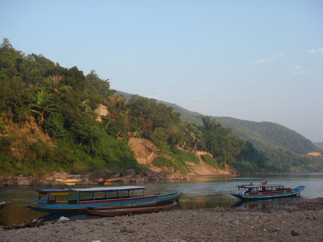En 2010, 25 nouvelles espèces de poissons découvertes dans la région du Mékong