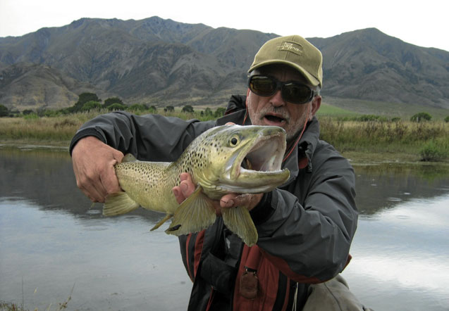 Nouvelle-Zélande : pourquoi sont-elles si grosses ?