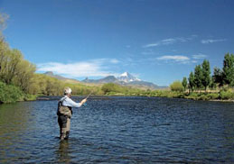 Au bon temps des cerises