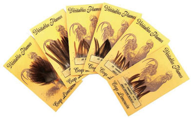 Montage : le chant du coq